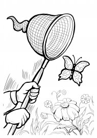 Сачок раскраска