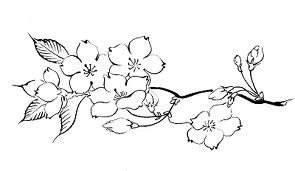 Цветы Сакуры