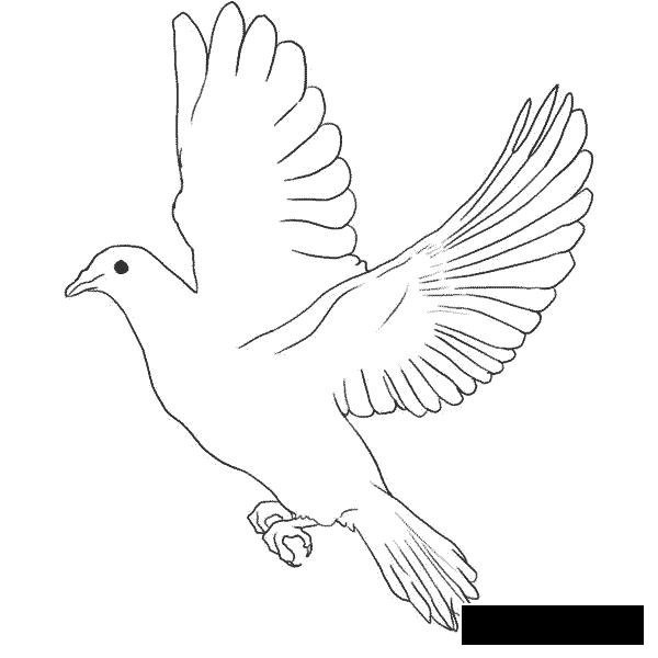Голубь России раскраска