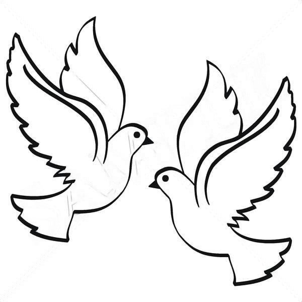 Голуби на 9 мая