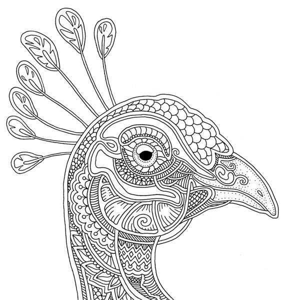 Ветер уносит цветы раскраска