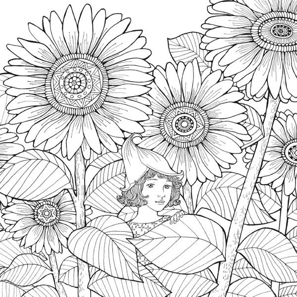 Раскраска антистресс Подсолнухи