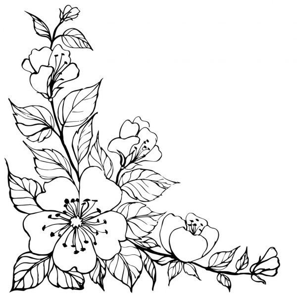 Цветы раскраска угол