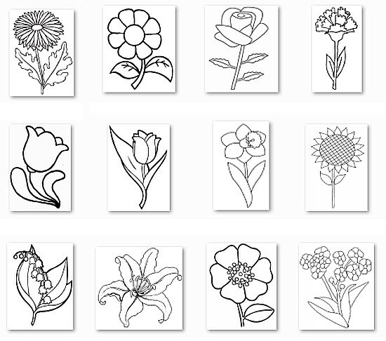 Раскраска цветы разные