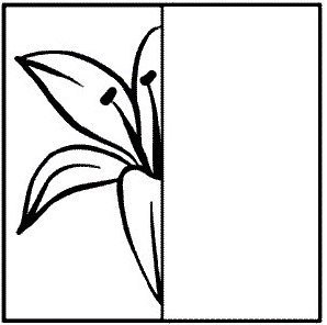 Раскраски дорисовки цветы (40 фото)