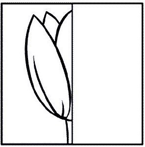Дорисуй половинку цветка