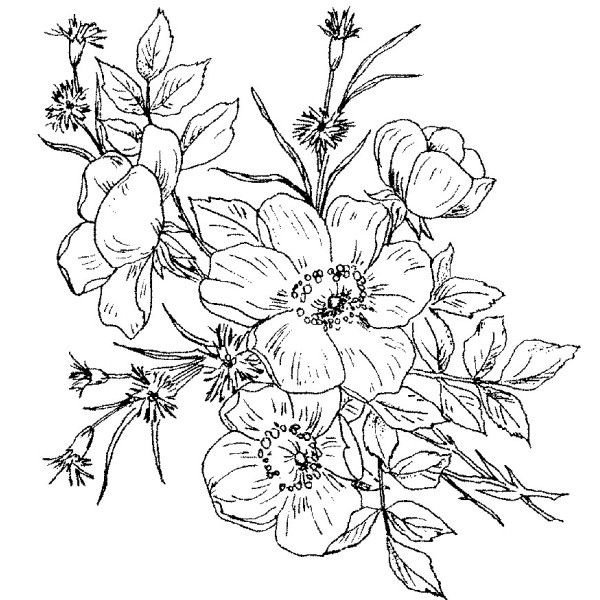 Букет цветов эскиз