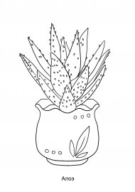 Раскраски цветы алоэ (42 фото)
