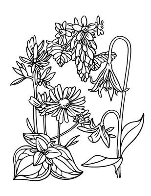 Раскраски цветы на ветру (43 фото)