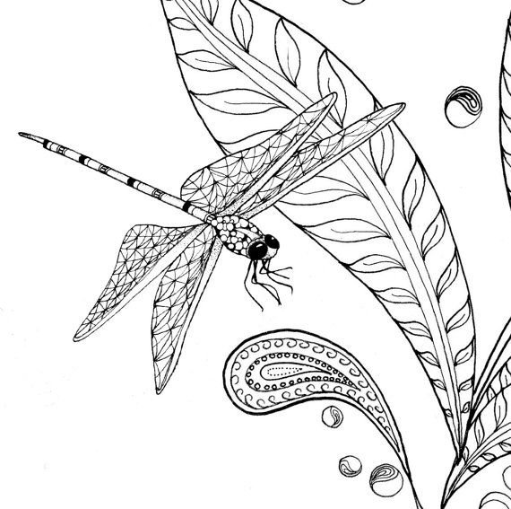 Раскраски Стрекозы природа