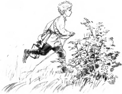 Иллюстрация к произведению тема и жучка