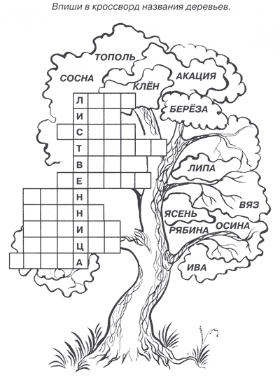 Занимательные задания по окружающему миру