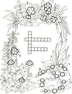 Раскраска кроссворд цветы