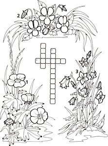 Кроссворды раскраски по теме растения