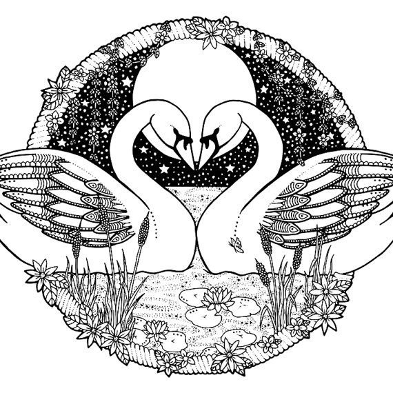 Антистресс лебедь