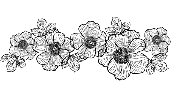 Цветочный орнамент в полосе