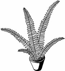 Рисование папоротника в горшке