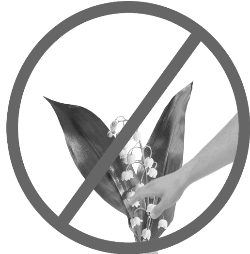 Раскраски не срывай цветы (40 фото)