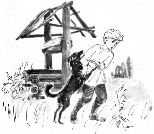 Раскраски тема и жучка (45 фото)