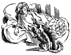 Гарин-Михайловский тёма и жучка раскраски к рассказу