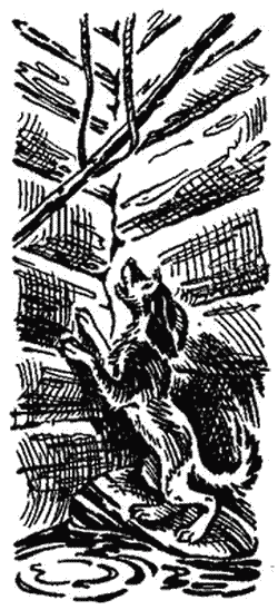 Тёма и жучка рисунок