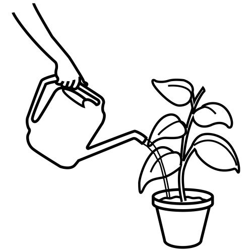 Поливать цветы