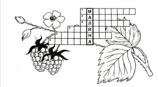 Кроссворд про ягоды