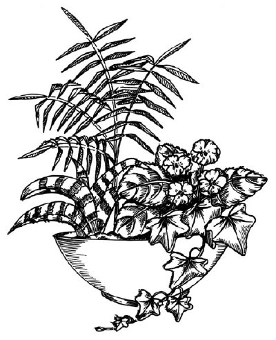 Композиция из комнатных растений рисунок