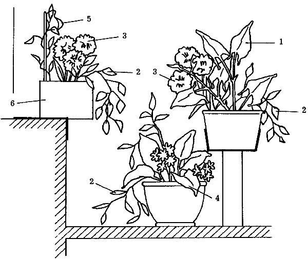 Эскиз вертикального озеленения