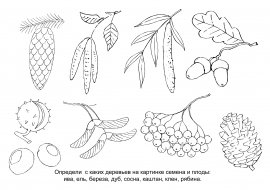 Задания листья деревьев для детей