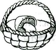 Лукошко с грибами раскраска