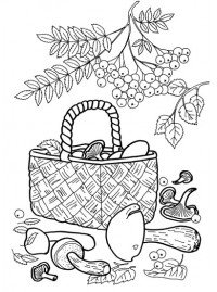 Раскраска дары леса