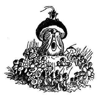 Война грибов с ягодами раскраска