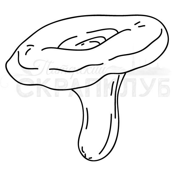 Гриб Рыжик контур