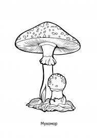 Раскраска ядовитые и несъедобные грибы