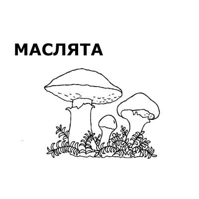 Раскраски грибы маслята (40 фото)