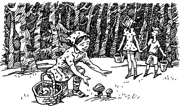 Иллюстрации к рассказу Катаева грибы