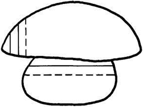 Штриховка грибы