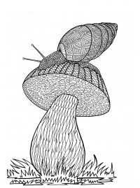 Улитка на грибе раскраска