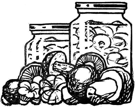 Раскраски банка с грибами (33 фото)