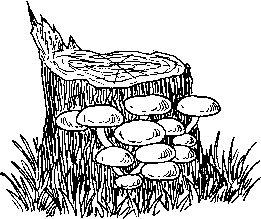 Раскраска опята на пеньке