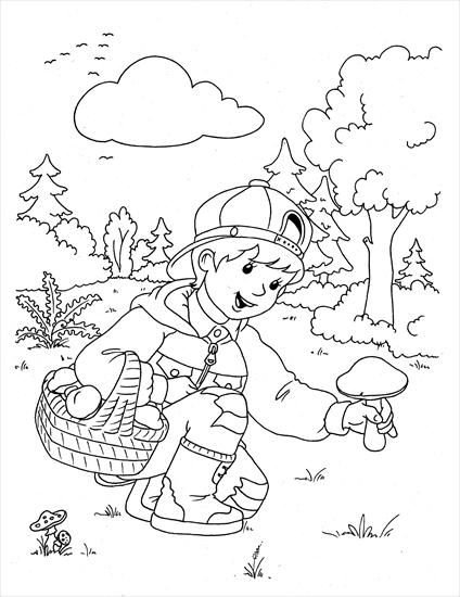 Раскраска сбор грибов