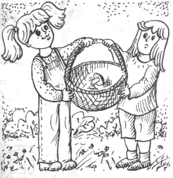 Раскраска сбор грибов