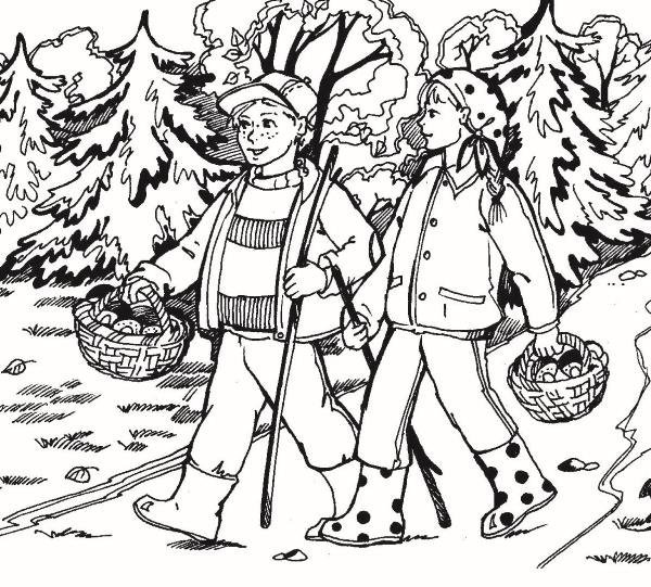 Раскраска сбор грибов