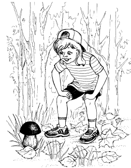Сбор грибов раскраски для детей