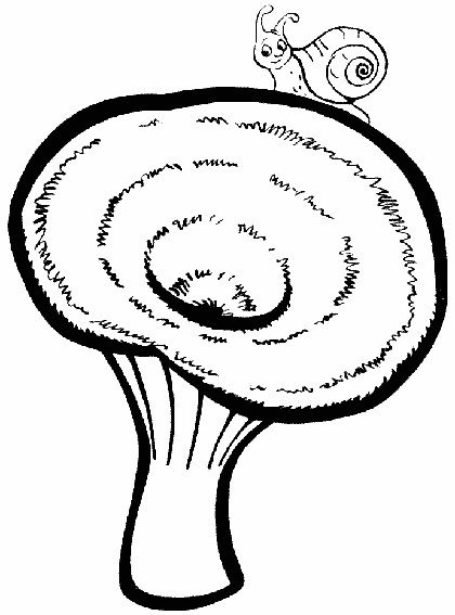 Гриб груздь раскраска