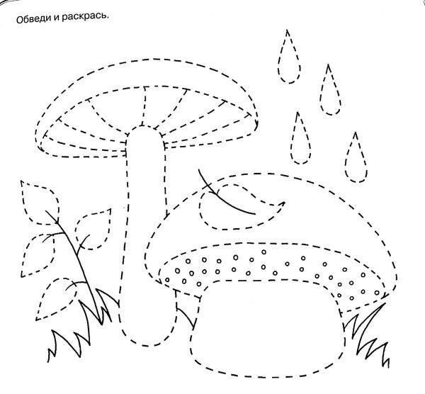 Грибы обводка для детей