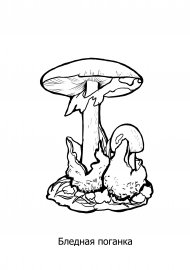 Бледная поганка разукрашка