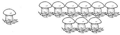 Грибочки много раскраска