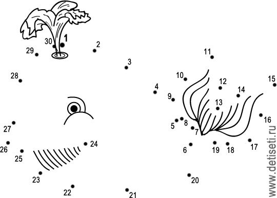 Рисование по цифрам морские обитатели